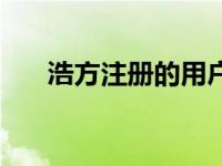 浩方注册的用户名是汉字吗 浩方注册 