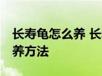 长寿龟怎么养 长寿龟的饲养方法 长寿龟的饲养方法 