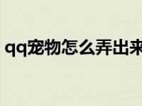 qq宠物怎么弄出来2021手机 qq宠物怎么死 