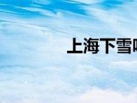 上海下雪吗2024 上海下雪 