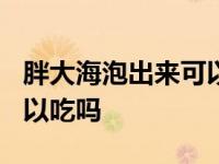 胖大海泡出来可以吃吗? 胖大海泡开的果肉可以吃吗 