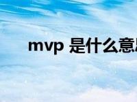 mvp 是什么意思? mvp什么意思中文 