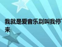 我就是爱音乐别叫我停下来什么歌 我就是爱音乐别叫我停下来 