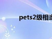 pets2级相当于什么水平 pets2 