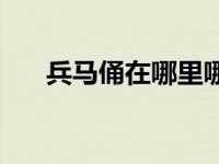 兵马俑在哪里哪个省的 兵马俑在哪里 