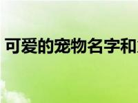 可爱的宠物名字和火有关的 可爱的宠物名字 