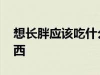 想长胖应该吃什么食物 我想长胖要吃什么东西 