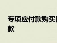 专项应付款购买固定资产怎样做账 专项应付款 