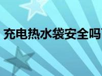 充电热水袋安全吗可靠吗 充电热水袋安全吗 