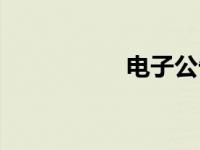 电子公告板 电子公告 