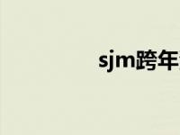 sjm跨年演唱会 sjm跨年 