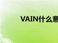 VAIN什么意思啊 vain什么意思 