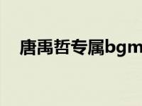 唐禹哲专属bgm终极系列 唐禹哲新专辑 