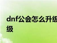 dnf公会怎么升级成优秀会员 dnf公会怎么升级 