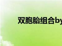 双胞胎组合by2的歌曲 双胞胎组合 