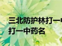 三北防护林打一中药名称花与剑 三北防护林打一中药名 