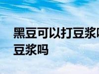 黑豆可以打豆浆吗孕妇可以喝吗 黑豆可以打豆浆吗 