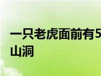 一只老虎面前有5个山洞 一只老虎面前有五个山洞 