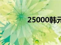 25000韩元等于 25000韩元 