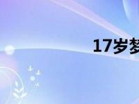 17岁梦涵翻唱 17岁 