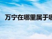 万宁在哪里属于哪个省的城市 万宁在哪里 