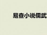 易查小说儒武双绝张安平 易查小说 