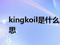 kingkoil是什么意思英语 kingkong什么意思 