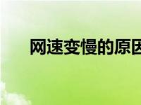 网速变慢的原因分析 网速变慢的原因 