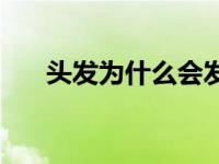 头发为什么会发叉 头发分叉还会长吗 