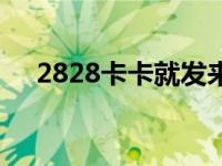 2828卡卡就发来源于哪 2828卡卡就发 