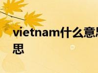 vietnam什么意思中文翻译 vietnam什么意思 