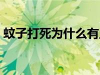 蚊子打死为什么有血块 蚊子打死为什么有血 