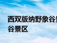 西双版纳野象谷景区有限公司 西双版纳野象谷景区 