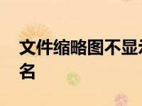 文件缩略图不显示文件名 缩略图不显示文件名 