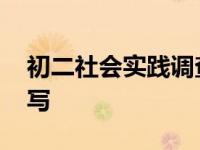 初二社会实践调查报告怎么写 调查报告怎么写 