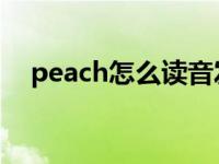 peach怎么读音发音 音标 peach怎么读 