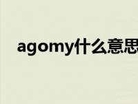 agomy什么意思 agony是什么意思中文 