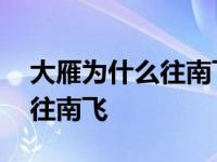 大雁为什么往南飞下一句怎么写 大雁为什么往南飞 