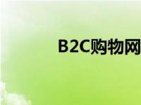 B2C购物网站有哪些 b2c购物 