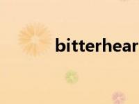 bitterheart歌词 bitterheart 