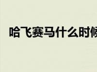 哈飞赛马什么时候上市的 哈飞赛马怎么样 