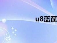 u8篮筐高度 篮框高度 