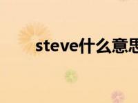 steve什么意思中文 steve什么意思 