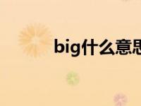 big什么意思中文 big什么意思 