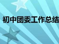 初中团委工作总结800字 初中团委工作总结 