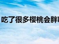 吃了很多樱桃会胖吗 吃了30个樱桃会中毒吗 