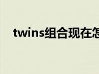 twins组合现在怎么样了 twins解散了吗 