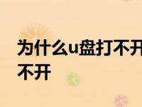 为什么u盘打不开总提示格式化 为什么u盘打不开 