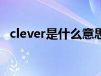 clever是什么意思翻译 clever是什么意思 