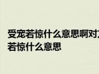 受宠若惊什么意思啊对方说了来了就关注你了怎么回答 受宠若惊什么意思 